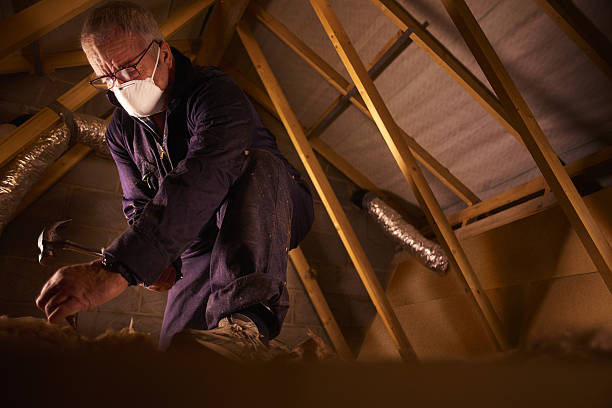 Best DIY Insulation Kits and Guidance in Maben, MS